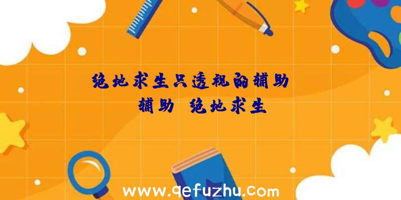 「绝地求生只透视的辅助」|rg辅助